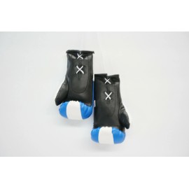 Guatemala Boxing Glove / Guatemala Flag / Mini Guatemala Boxing Glove