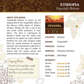 Ethiopia Yirgacheffe Coffee - Ground Coffee - Freshly Roasted Coffee - Cubico Coffee - 16 Ounce (Single Origin Ethiopian Coffee)
