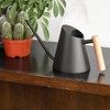 Watering Can with Long Spout 800ml Stainless Steel Matte Indoor