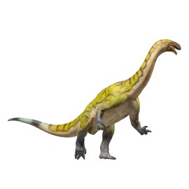 PNSO Prehistoric Dinosaur Models:81 Yiran The Lufengosaurus