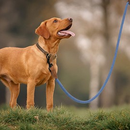 Mile High Life Rope Leash with Genuine Leather Connection, 6 FT/5 FT/4 FT, Heavy Duty Leash for Medium & Large Dogs(Blue White,60 Inch-1/2")