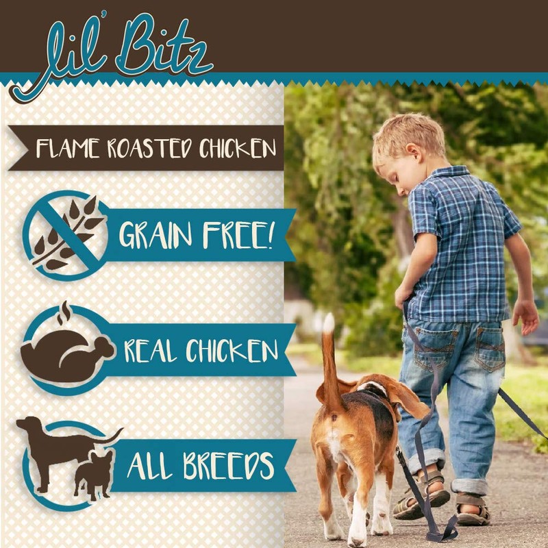 Lil' Bitz Flame Roasted Chicken Training Treats (4 oz)