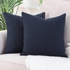 YAERTUN Pack of 2 Super Soft Decorative Throw Pillow Covers