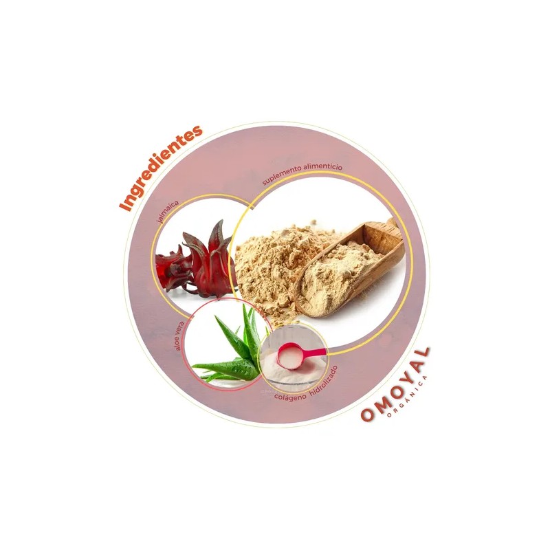 Colágeno Hidrolizado Maca + Magnesio 450 Gr Sheló Nabel