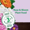 Miracle-Gro Shake 'N Feed Rose & Bloom Plant Food