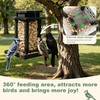 Square Crow Feeder - Hanging Whole Peanut Bird Feeder, Durable