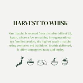 Dr. Weil Matcha Kari - 20 Gram Pouch Matcha Green Tea Powder - Japanese Ceremonial Grade