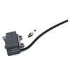 Coil Ignition With BM6A For Echo ES-250 PB-250LN PB-250 ES-252