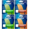 Lip Therapy Variety 4-Pack – Cocoa Butter + Aloe Vera