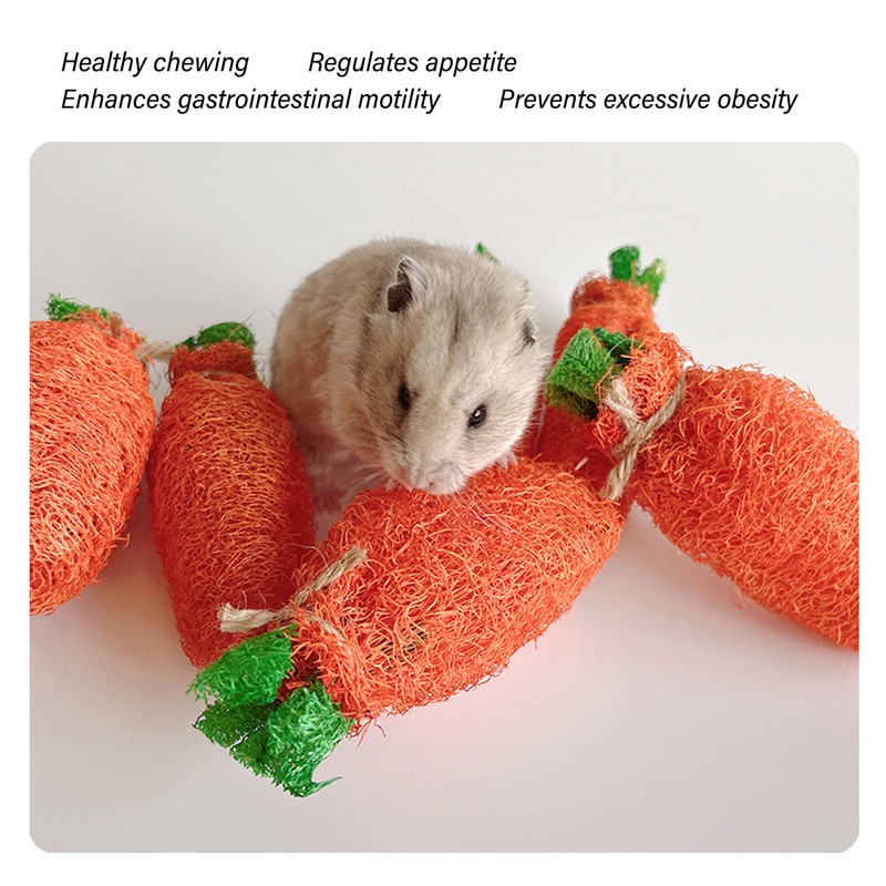 Rabbit Loofah Carrot Toys Natural Funny Teeth Grinding Bite Resistance