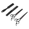 Hair Cutting Scissors Set with Straight Shear and Thinning Shear