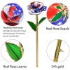 24k American Flag Patriotic 24K Gold Dipped Long Stem Forever