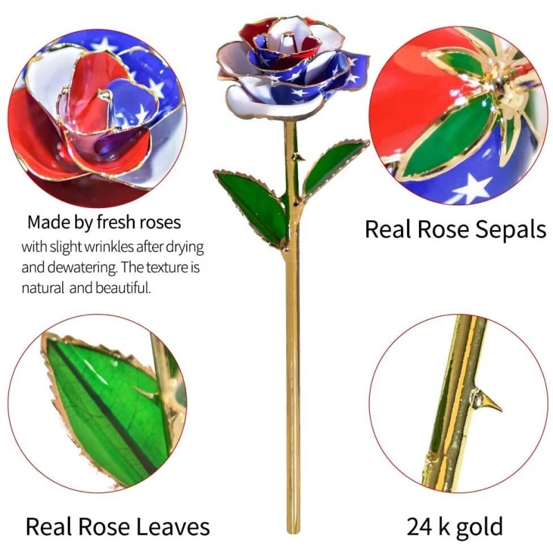 24k American Flag Patriotic 24K Gold Dipped Long Stem Forever