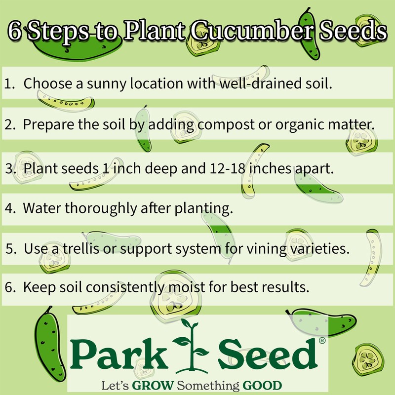 Park Seed Variety of Cucumber Seeds, Planting Cucumbers, Vegetable Seeds,