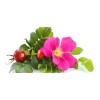 Aceite Corporal Rosa Mosqueta Sheló Piel Hermosa Y Suave