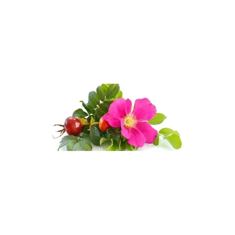 Aceite Corporal Rosa Mosqueta Sheló Piel Hermosa Y Suave