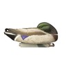 Higdon Outdoors Full-Size Mallard Duck Decoy, Multicolor