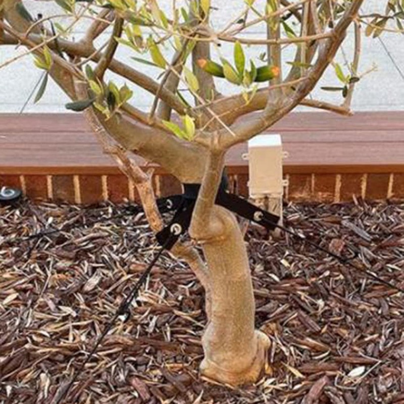 Peakloong 32Pcs 15.74 inch Tree Straps for Staking with Grommet