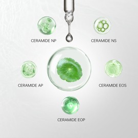 NORDBURY Ceramide Serum, 5X Ceramide with Panthenol Centella Aisatica Green Tea & Squalane, Skin Moisture Lock Strengthen Skin Barrier Improve Skin Hydration & Resilience Day and Night