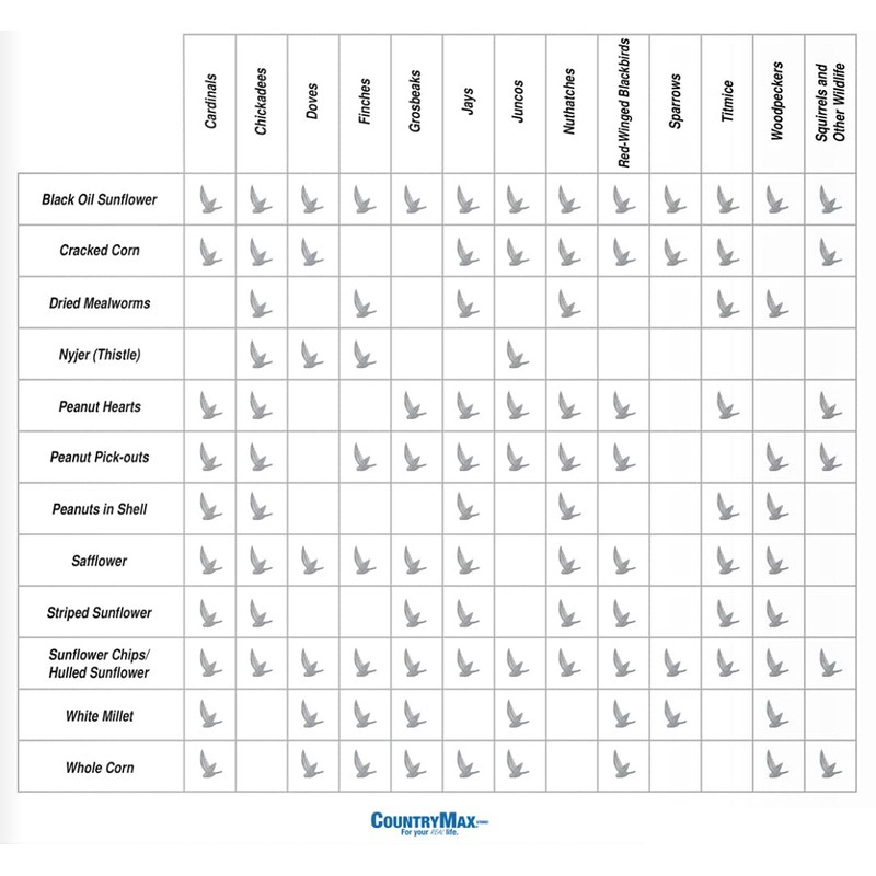 Backyard Seeds Songbird Blend Bird Seed Great Variety (50 Pounds)