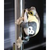 takeoff magnetic American frog