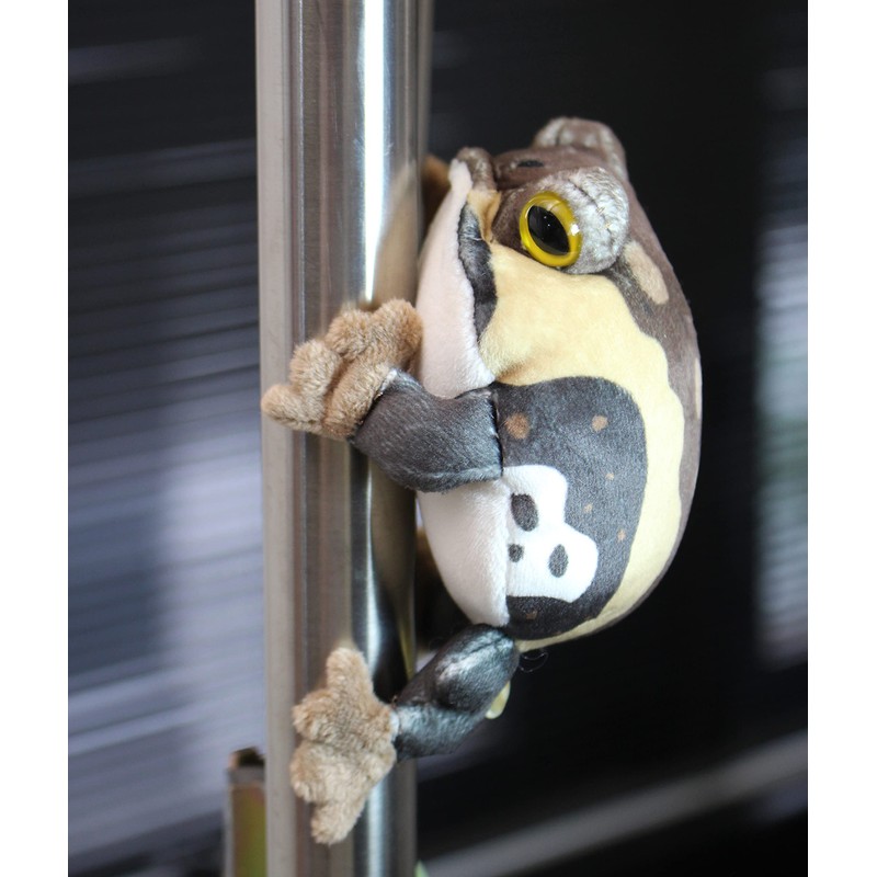 takeoff magnetic American frog