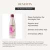 SALERM - Repair Shampoo - Hi Repair Shampoo - 250