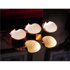 Set of 6 Large Mexican Deep Scallops 3" - 3 1/2" Baking Shells Beach Wedding Decor Crafts