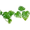 Lucky Reptile LP-70 Pothos Vine