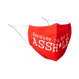 100% Cotton Washable Not An A-Hole Face Mask - Kids