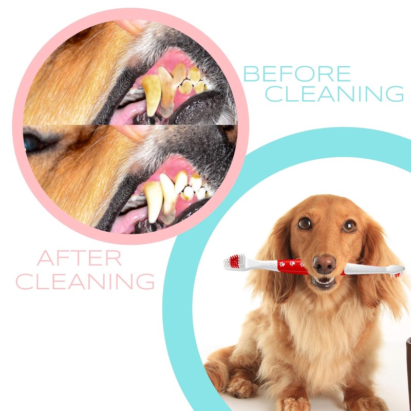 Pets & Pupps Pet Toothbrush for Dogs, Cats with Soft
