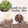 Bonsai Jack Succulent, Cactus and Bonsai Soil - Jacks Gritty