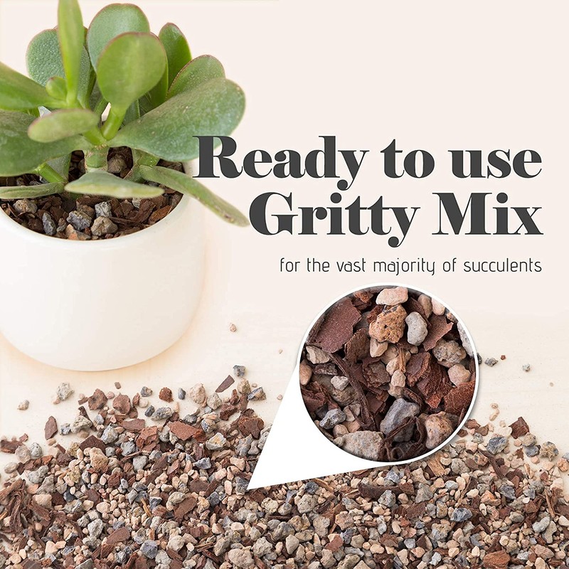 Bonsai Jack Succulent, Cactus and Bonsai Soil - Jacks Gritty