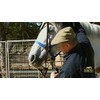 Monty Roberts 5" Thick Copper & Black Iron Horse Snaffle
