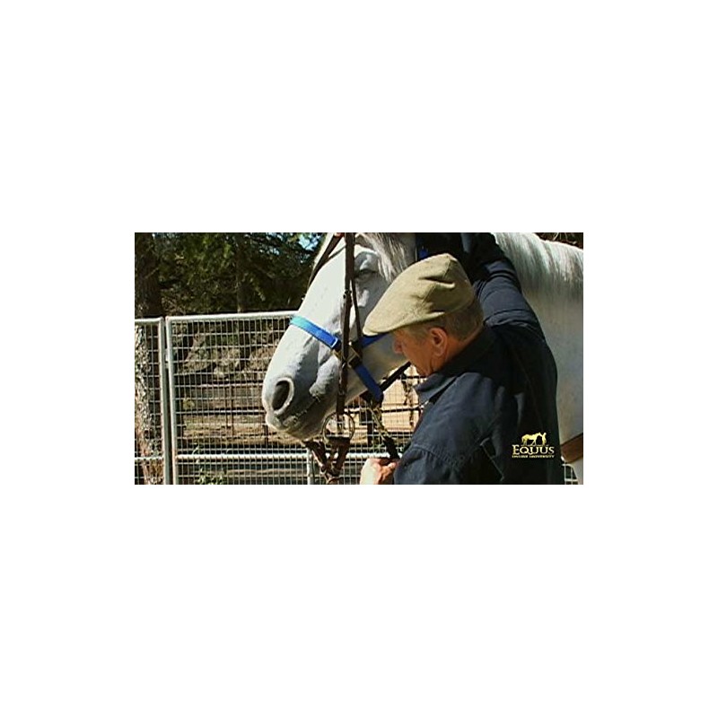 Monty Roberts 5" Thick Copper & Black Iron Horse Snaffle