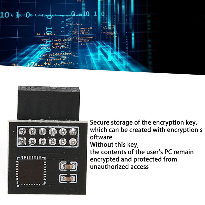 TPM2.0 Encryption Security Module for GIGABYTE Mainboard SPI 12Pin Security