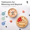 Baby Weaning Set by Tiggi, Baby Feeding Set Complete with