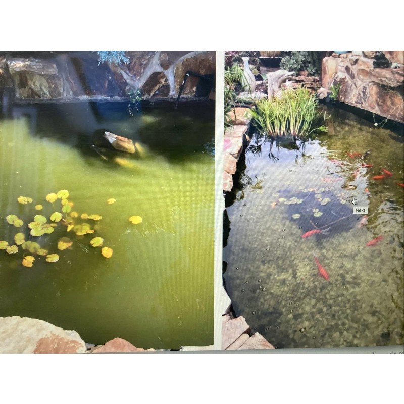 Splosht Natural Water Cleaner For Large Fishpond/Water Feature