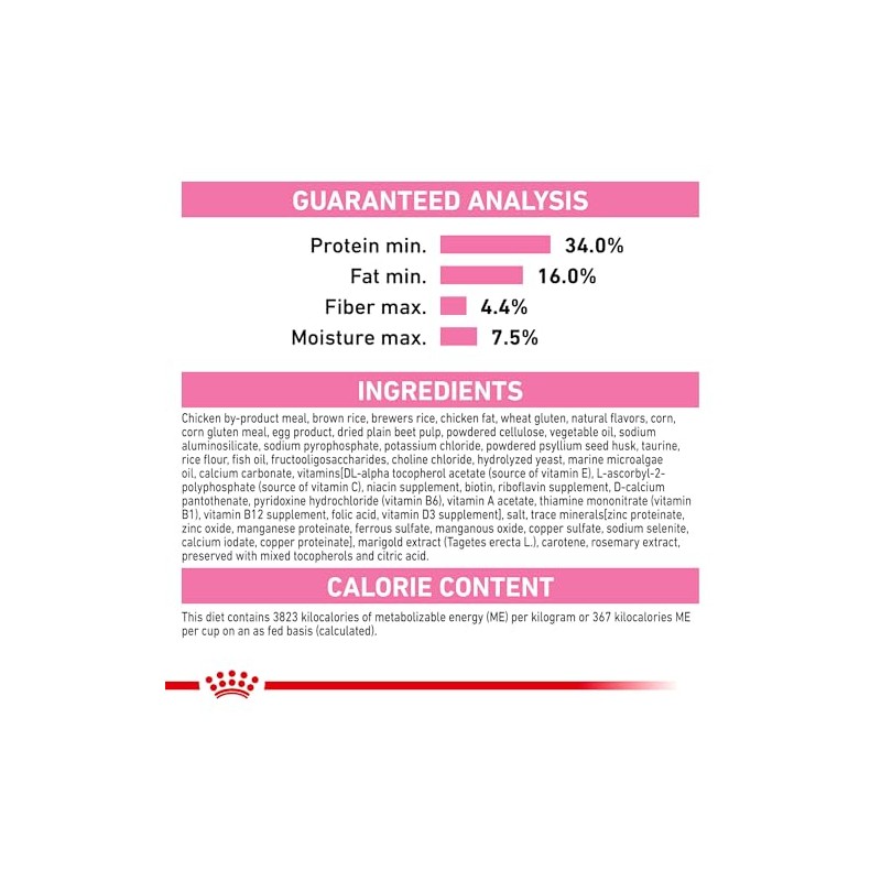 Royal Canin Croquetas para Gatos, Kitten, 3.17 kg (El empaque