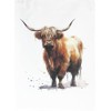 Half a Donkey The Highland Cow Large Cotton Tea Towel
