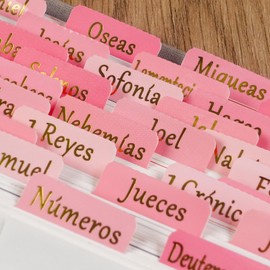 Spanish Bible Tabs for Women, Gold Foiling Pestañas para Biblia en Español, 90 Elegant Index Tabs, Luxury Separadores de Biblia en Español, Durable Spanish Bible Accessories, Pink