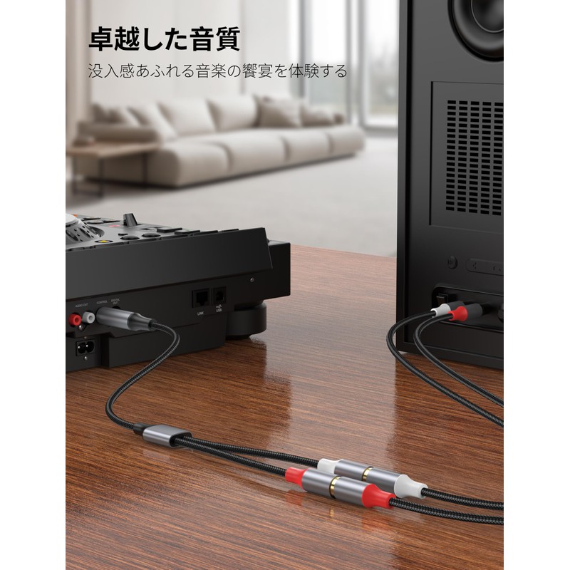 KAYQINHO 6.35mm to 2RCA Cable, 6.35mm 1/4" to 2 RCA