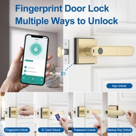 BIWIBON Fingerprint Door Lock, 5 in 1 Finger Print Door Knob with Smart APP/Fingerprint/IC Cards/Password/Backup Keys, Smart Door Knob with Keypad for Bedroom, Office, Apartment, Gold