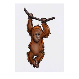 Azeeda Large 'Baby Orangutan' Temporary Tattoo (TO00045724)