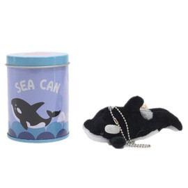 Takeoff SEA Can Orca