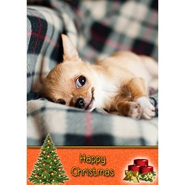 Chihuahua Dog Christmas Card 'Happy Christmas' - Special Animal Xmas Card for Him Her from Pets Kids