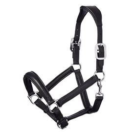 LeMieux Anatomic Headcollar for Horses in Black - Padded Leather & Metal Fittings - Adjustable - Cob