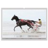 Horse Racing on Snow and in Water (Wall Calendar 2026