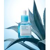 Seongbun Editor Ingredient Editor Blue Agave Hyal Ion Moisture Ampoule