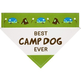 Best Camp Dog Ever - Large Dog Pet Slip On - 12" x 8"- with 2" Hole to Insert Collar